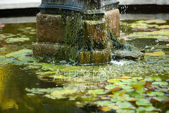 DSC_1332